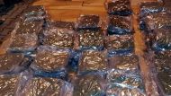 Обвинение против 18 человек, подозреваемых в контрабанде почти двух тонн марихуаны из Испании и 3 кг героина из Нидерландов, направлено в окружной суд в Кракове